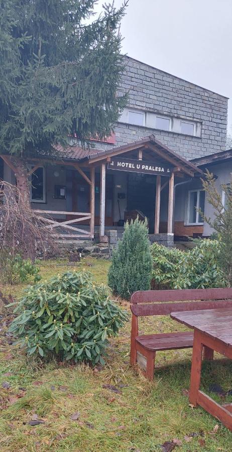 Apartman Novohradky 22 Benesov nad Cernou エクステリア 写真