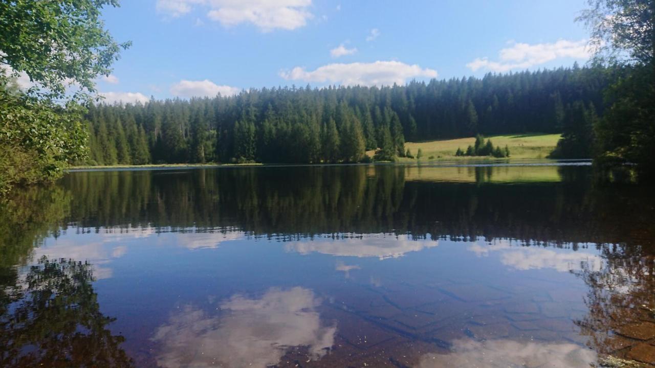 Apartman Novohradky 22 Benesov nad Cernou エクステリア 写真