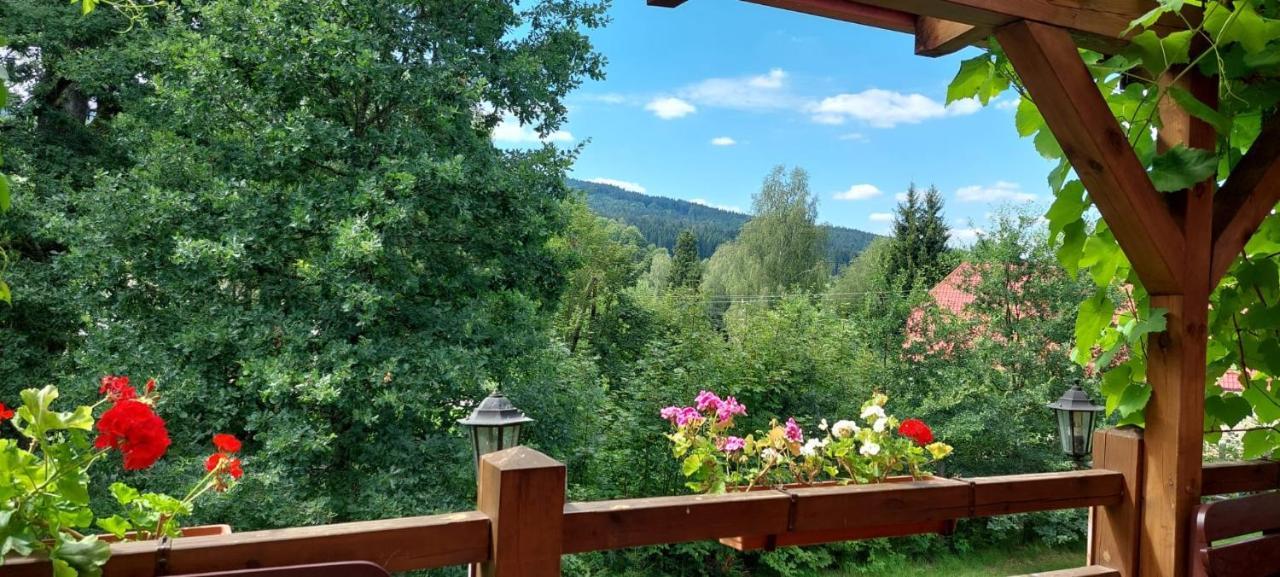 Apartman Novohradky 22 Benesov nad Cernou エクステリア 写真